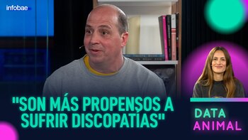 La condrodistrofia en los perros