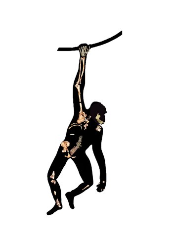 El antiguo pariente humano "Australopithecus