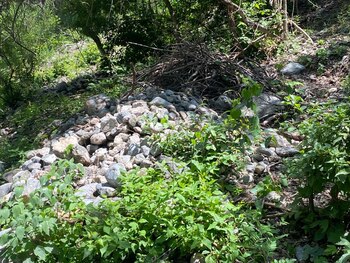 El predio donde fueron hallados