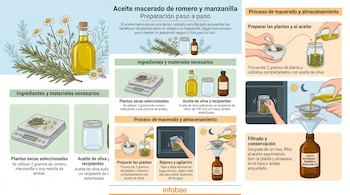 Ilustraciones que guían a través de la preparación de aceite macerado de romero y manzanilla, mostrando ingredientes y cada paso del proceso.