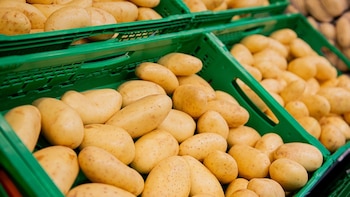 Los motivos por los que