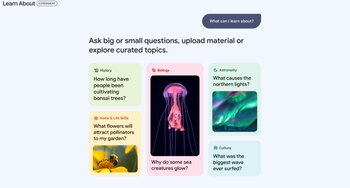 Learn About es un chatbot