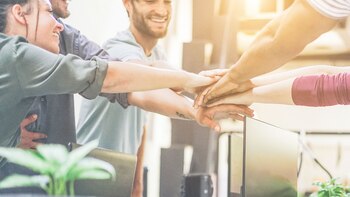 Crédito: Shutterstock