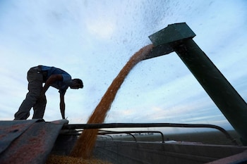 El nuevo intendente asumirá el 10 de diciembre al frente de una ciudad de unos 30.000 habitantes, con fuerte vínculo con la actividad agroindustrial y la producción de maquinaria agrícola (REUTERS/Matias Baglietto/)