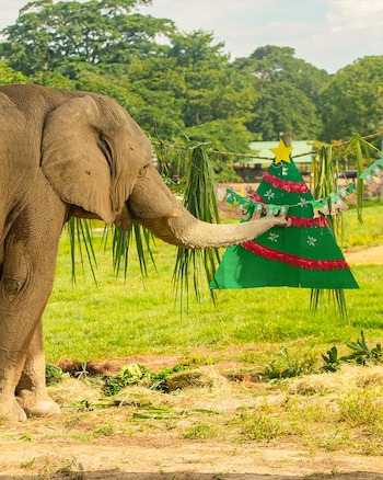 Hacienda Nápoles Parques Temáticos ha