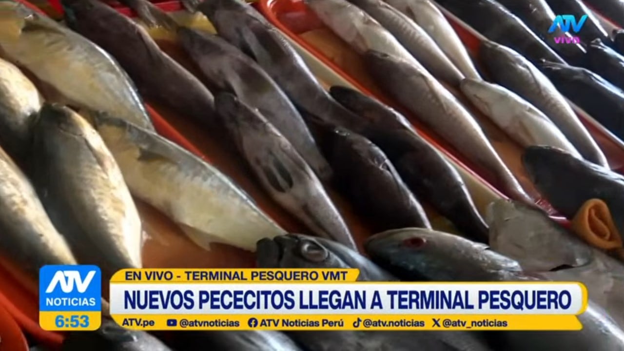 Diversas especies de pescado se comercializan en el Terminal Pesquero de Villa María del Triunfo ante el aumento de oferta de variedades poco habituales.