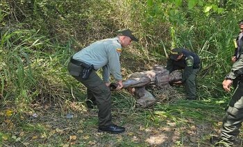 Trabajando conjuntamente, las autoridades policiales