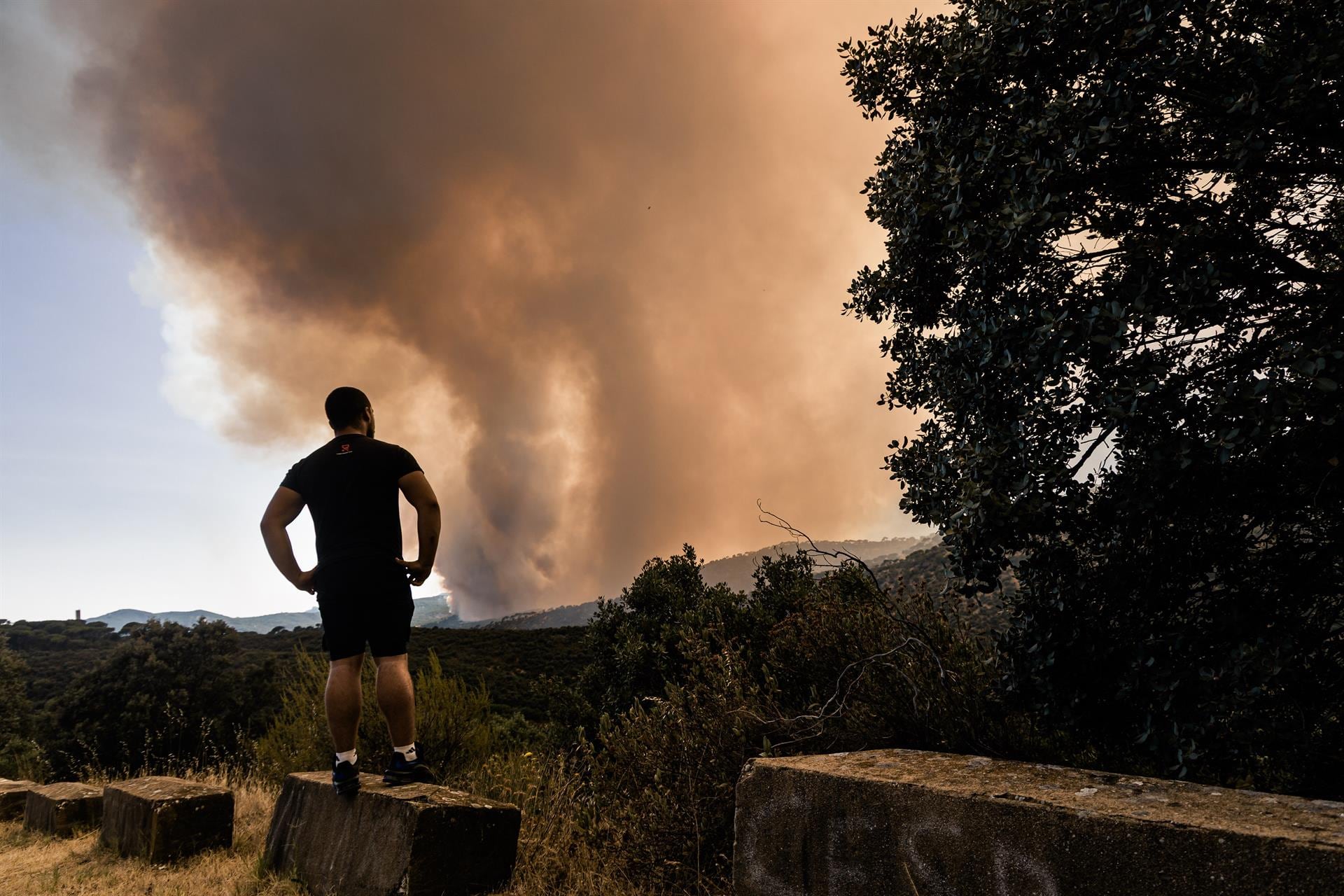 ¿España se ha preparado de verdad para la llegada del fuego?: “Por muy bien que se haga la prevención, el riesgo de grandes incendios es cada vez mayor”