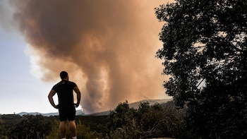 ¿España se ha preparado de verdad para la llegada del fuego?: “Por muy bien que se haga la prevención, el riesgo de grandes incendios es cada vez mayor”