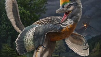 Descubrieron en China un fósil