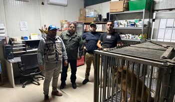 Personal de la Profepa aseguró