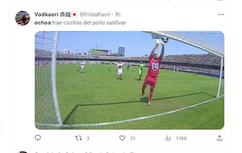 Los mejores memes que dejó