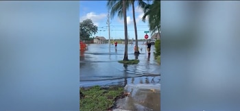 Calle inundada con agua sobre la calzada, palmeras, señales de tránsito y dos personas de pie en el agua bajo el cielo despejado