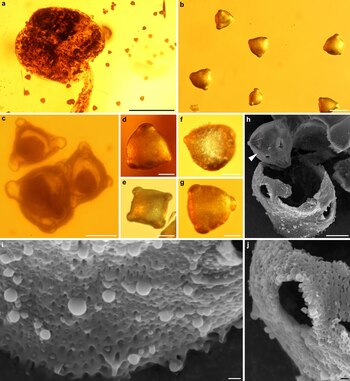 A partir de este estudio