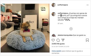 Publicación de Coffe y Mía