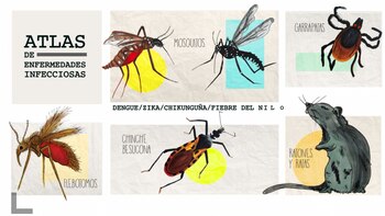 La innovadora herramienta para identificar