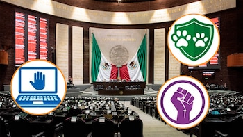 Cámara de Diputados recibe 25 iniciativas de reforma a leyes y Constitución, en pro de las mujeres, los animales y los derechos digitales