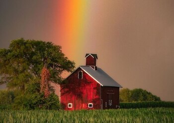 El equilibrio entre naturaleza, educación