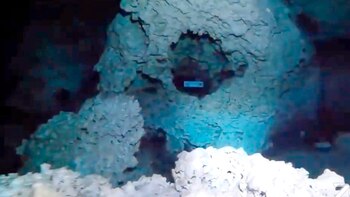 Hallazgos en Aktun-Ha: cenote de