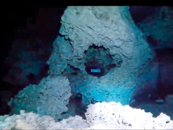 (Foto: Cortesía UNAM)