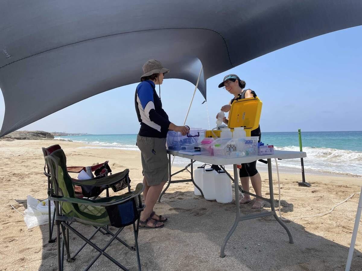 Las doctoras Nurit Weber y Keren Yanuka-Golub, exmiembros del equipo de investigación de Kiro, toman muestras de agua subterránea en la playa de Akhziv