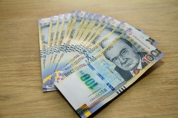 Para la dirigente, la idea