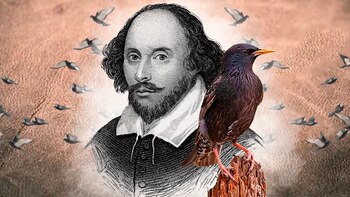 La interesante historia del hombre que llevó los pájaros de Shakespeare al Central Park en Nueva York
