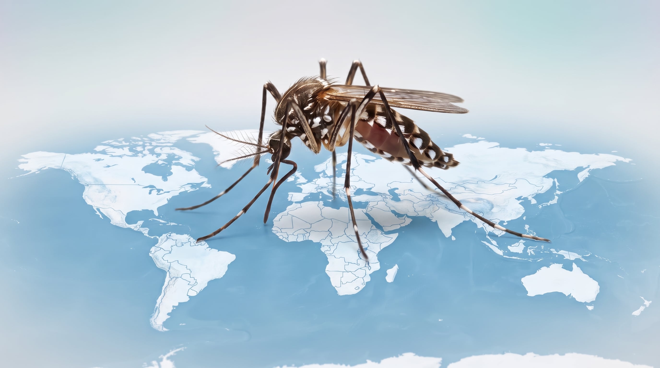 El calentamiento global y la urbanización acelerada están favoreciendo la expansión del dengue hacia nuevas regiones del planeta (Imagen Ilustrativa Infobae)