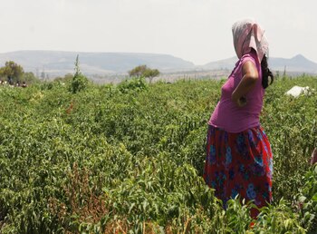 El Centro remarcó que los