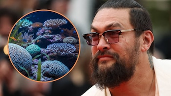 Primer plano de Jason Momoa con barba y gafas de sol en el lado derecho, y una imagen circular superpuesta de un arrecife de coral con múltiples especies de corales y peces tropicales.