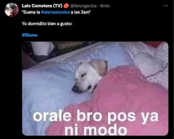 (Foto: Captura de pantalla)