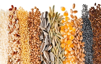 Tener niveles elevados de colesterol