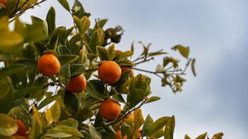 Los consejos para saber cuándo