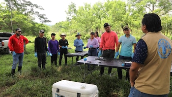 La iniciativa ejecutada por la Organización de las Naciones Unidas para la Alimentación y la Agricultura prevé mejorar el manejo sostenible en 31.432 hectáreas del norte de Honduras mediante acuerdos con productores locales (Foto cortesía FAO)