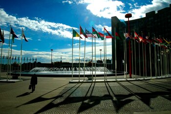 El Consejo de Seguridad de