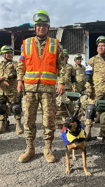 Fénix fue hallada durante la misión humanitaria de El Salvador tras los terremotos en La Guaira, Venezuela, y recibirá entrenamiento en la UHR (Foto cortesía FAES)