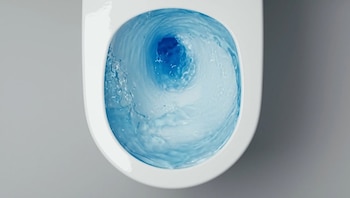 inodoro - baño