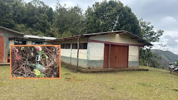 Ejército destruyó dos explosivos instalados en una escuela rural de Cajibío, en Cauca: habían sido instalados por de las disidencias de las Farc