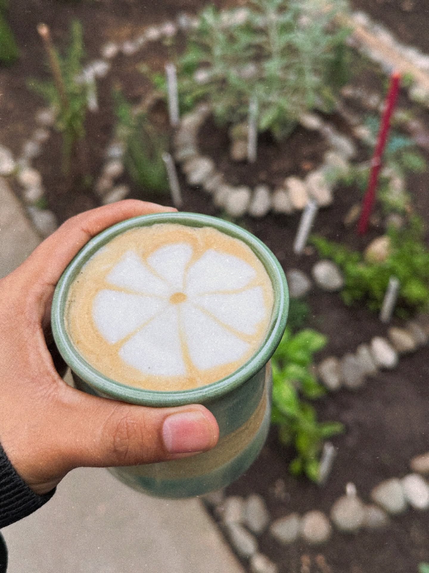 El diseño de Casa Calala incorpora plantas, un jardín central y mesas compartidas para recrear una sala familiar y fortalecer la pertenencia y la convivencia en San José. (Foto: Redes Sociales Casa Calala)