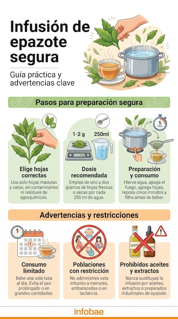 Infografía detallada sobre la preparación segura de infusión de epazote, mostrando hojas, utensilios de cocina, una taza, báscula, cronómetro e íconos de advertencia.