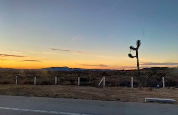 Desierto de San Luis Potosí cercano a CMDX