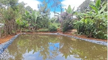 Honduras apuesta por almacenar agua de lluvia ante el avance de la sequía en el sector agropecuario
