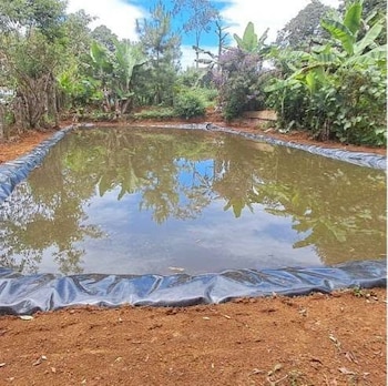 Los estudios técnicos identifican unos 2.000 sitios para instalar obras de cosecha de agua en Honduras.