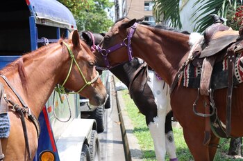Para el alcalde de Villavicencio,