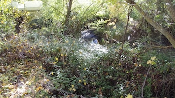 Desde la Asociación Moclín Sostenible