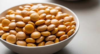 El lupino entero muestra mayor