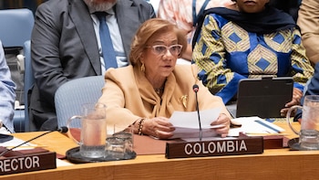Colombia denuncia ante la OEA "injerencia" extranjera en las presidenciales