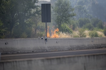 Incendio forestal en la carretera M 206 entre Torrejón de Ardoz y Loeches (Alberto Ortega / Europa Press)