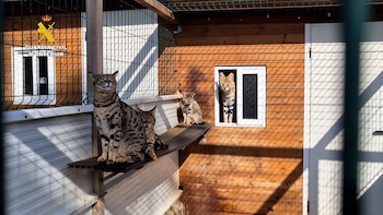 Imagen T5G5FTKMDNCLXE2CLNBZ47F4G4