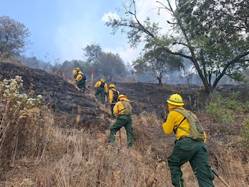 Un equipo de bomberos forestales